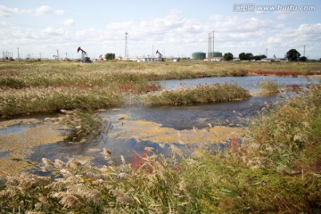 生态湿地油田