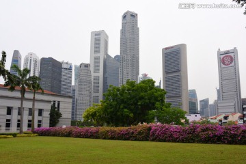 新加坡街景