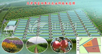 農(nóng)業(yè)科技生態(tài)園