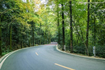 公路景觀