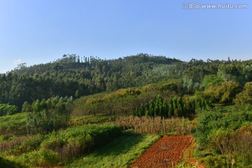 田园风光