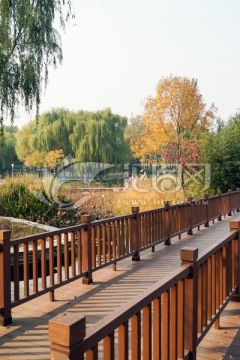 廊橋 秋景