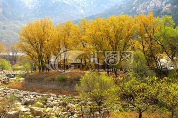 泰山桃花峪秋色