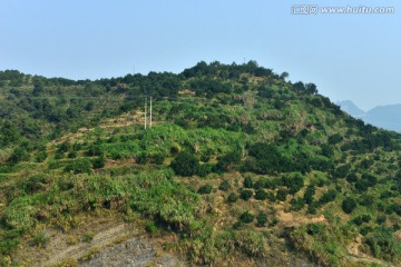 山野