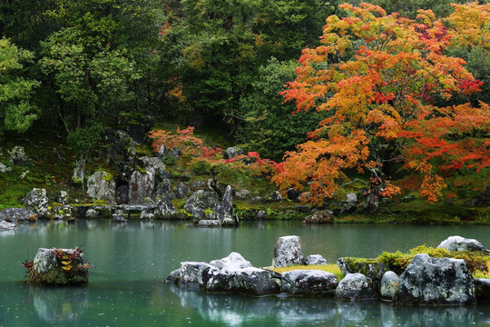 日本京都天龙寺湖水秋色岩石小景