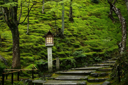 日本京都常寂光寺石灯青苔