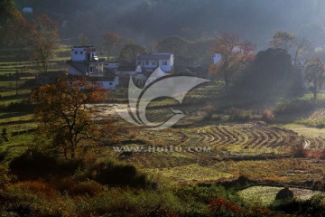 塔川秋色