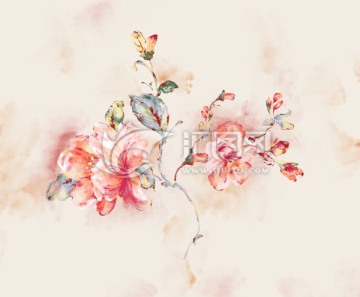 手繪 花卉 古典