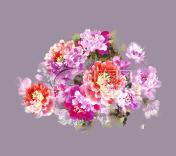 水彩 花卉 牡丹 印花 手繪花