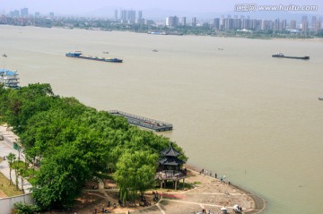 江岸绿树