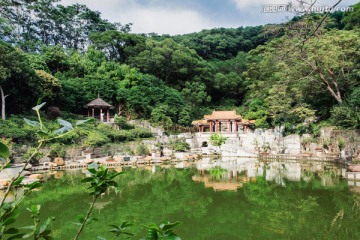 仙湖植物园