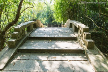 仙湖植物园