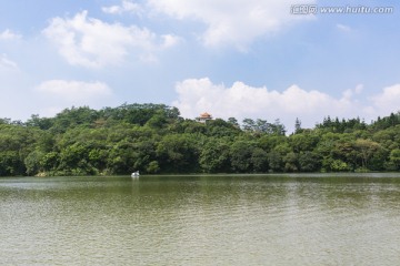 仙湖植物园