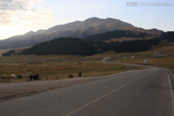 新疆道路