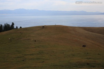 赛里木湖