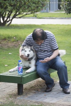 秃头男人与宠物狗