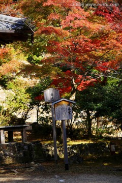 秋天的京都神护寺一角