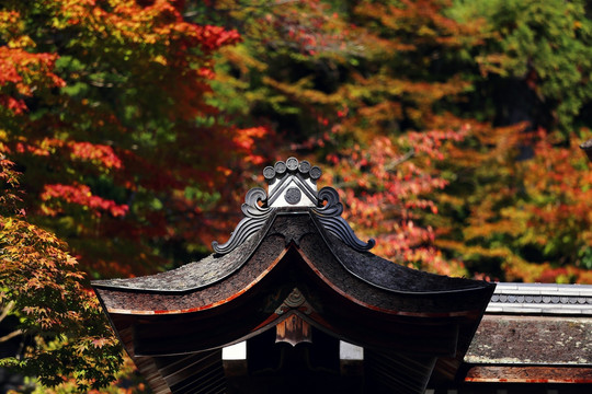 京都神护寺建筑屋檐雕花