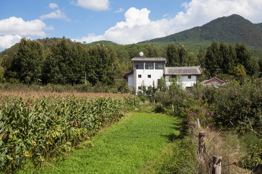 丽江茶马古道