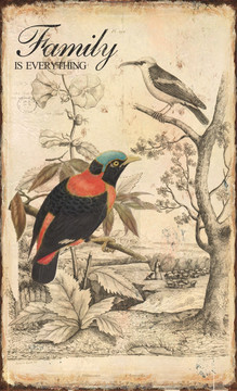 無(wú)框畫(huà) 鳥(niǎo) 復(fù)古