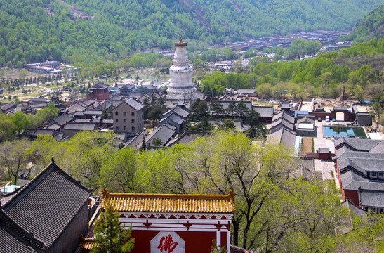 五台山 白塔寺 白塔