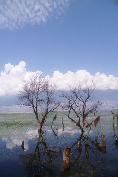 洱海 风景