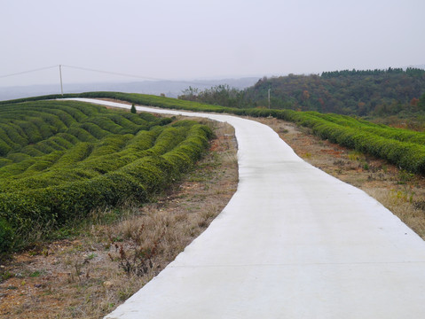 茶山公路
