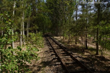 林中小铁路