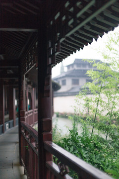 庭院