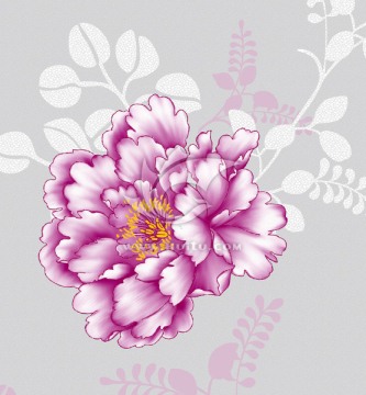 花卉