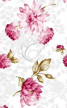 花卉