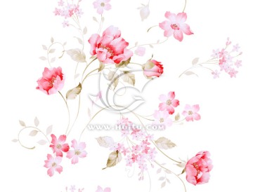 花卉素材
