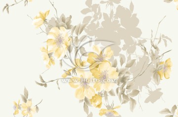 花卉素材