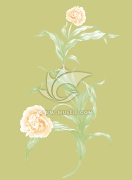 花卉素材