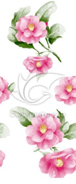 花卉素材