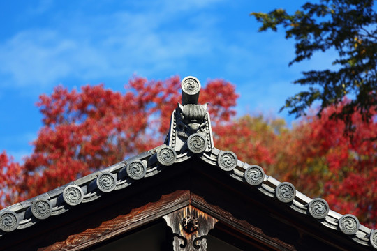 日本奈良寺庙屋檐雕刻