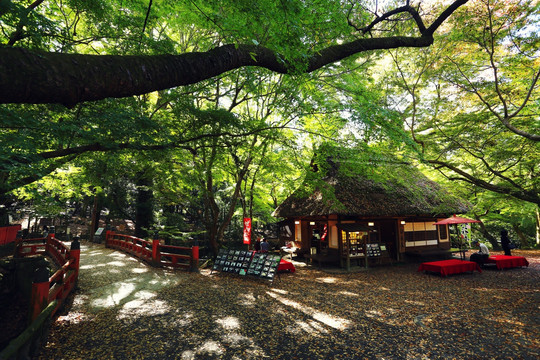 日本奈良公园内的日式茅房餐厅