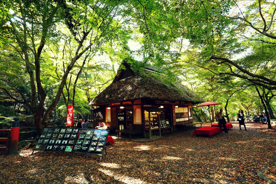 奈良公园日式餐厅