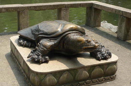 苏州西园戒幢律寺西花园班鼋铜雕