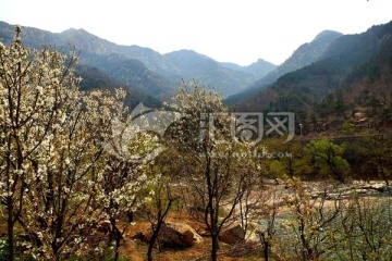 泰山风光 泰山桃花峪风光