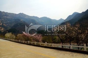 泰山桃花峪风光 泰山风光