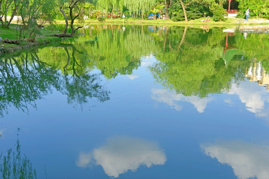 池塘倒影池塘水景TIF图