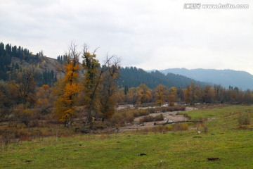 山林草场