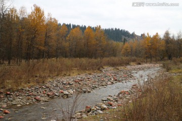 河边溪流