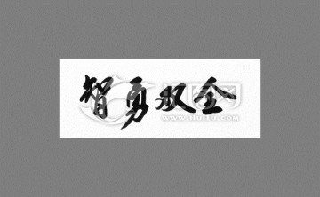 智勇雙全