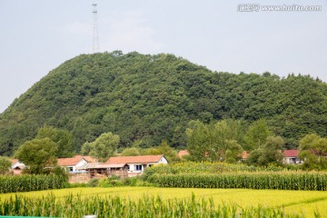 乡村风情