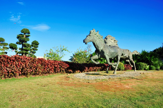 草地奔马