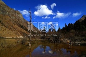 天际湖 水中枯树