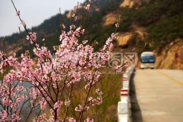 泰山桃花峪风光