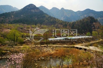 泰山西峪道风光 泰山风光